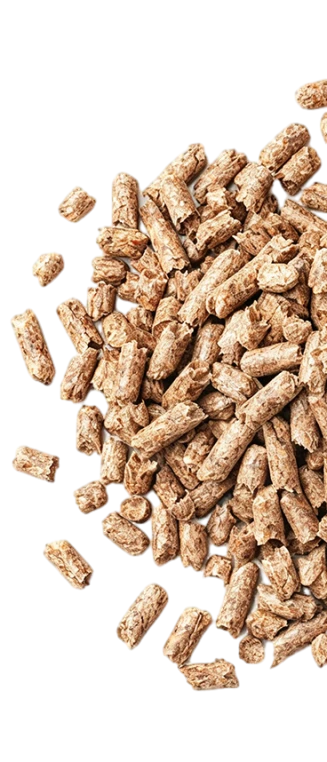 Pellets de alimentaci&oacute;n animal
